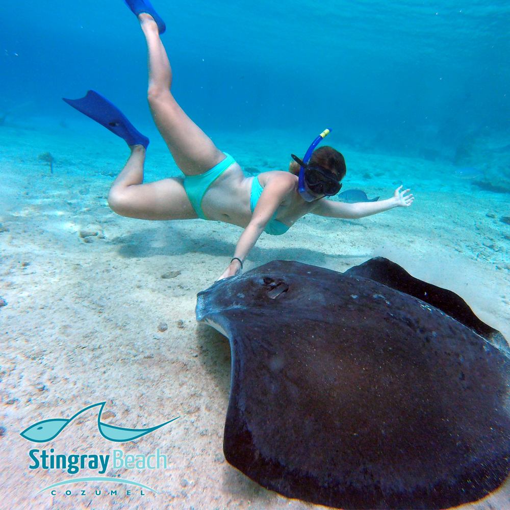 Cozumel Snorkeling Tours